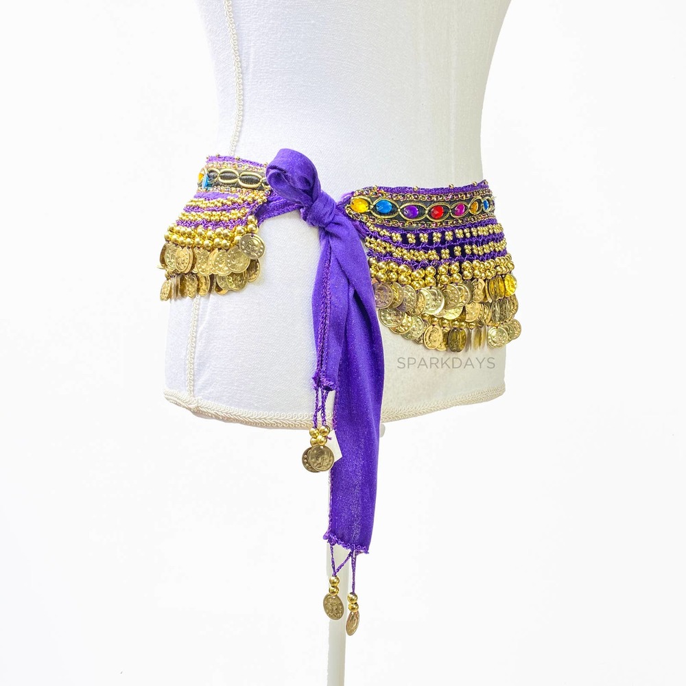 Belly Dancer Costume Purple Wig Jewel Coin Scarf Belt Festival Halloween Party - Picture 3 of 14